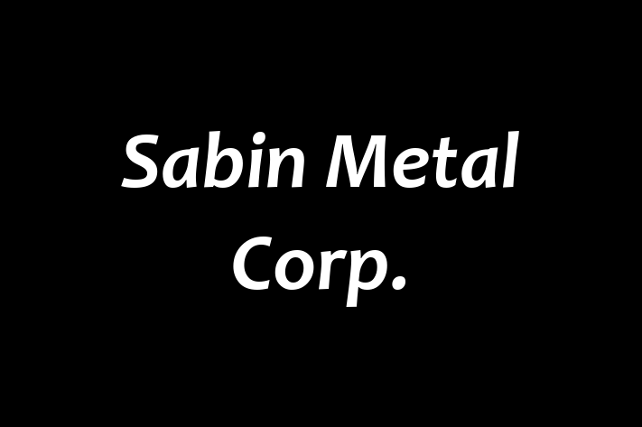 Employee Resource Management Sabin Metal Corp.