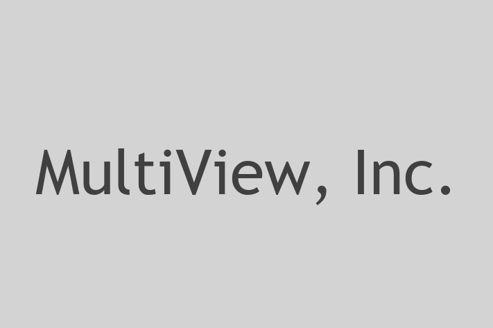 Application Development Company MultiView Inc.