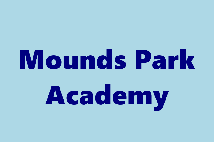 Software Engineering Company Mounds Park Academy