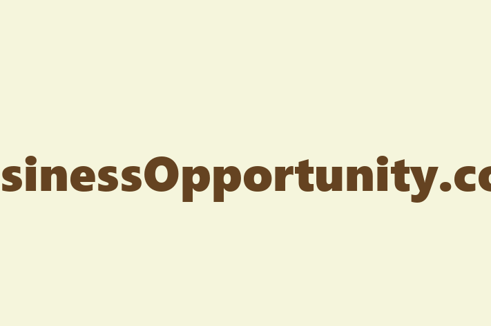 IT Company BusinessOpportunity.com