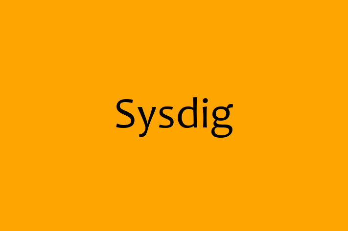 Technology Solutions Firm Sysdig