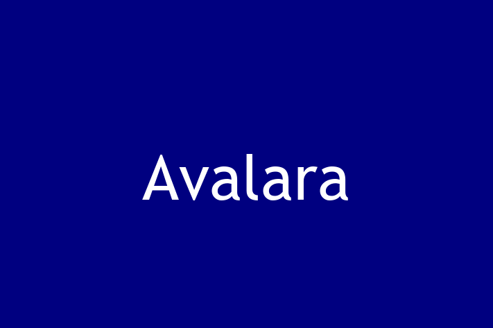 Tech Solutions Company Avalara