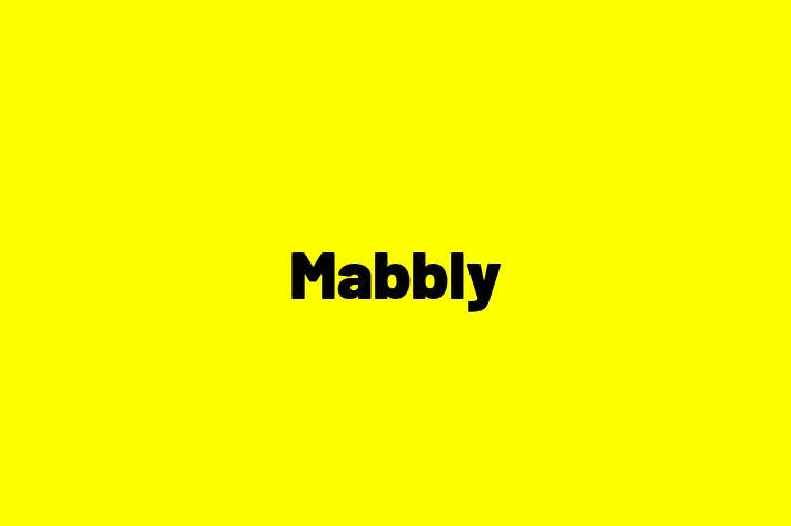 Tech Firm Mabbly