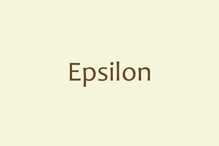 Tech Firm Epsilon