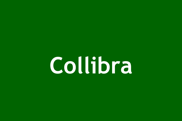 Workforce Management Collibra