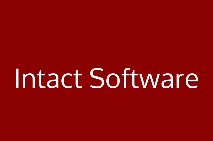 Software Engineering Company Intact Software