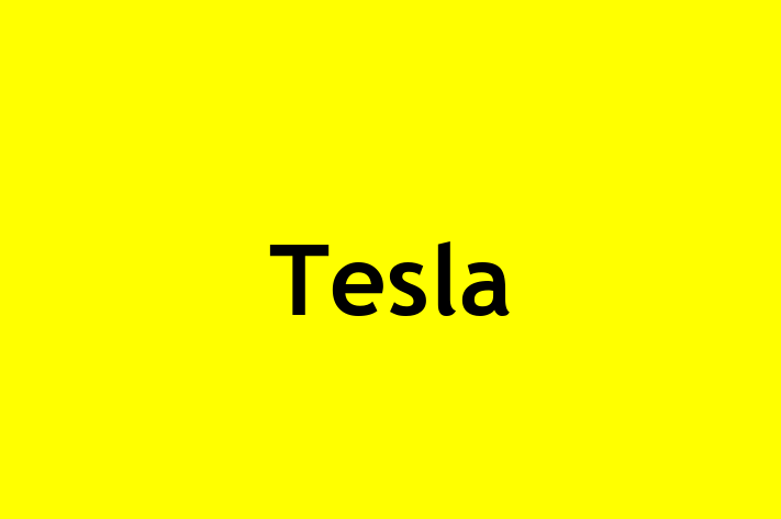 Human Resource Management Tesla