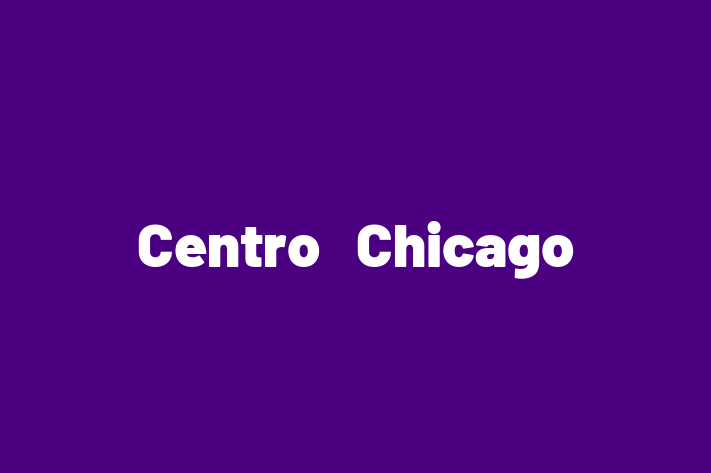 Software Development Firm Centro  Chicago