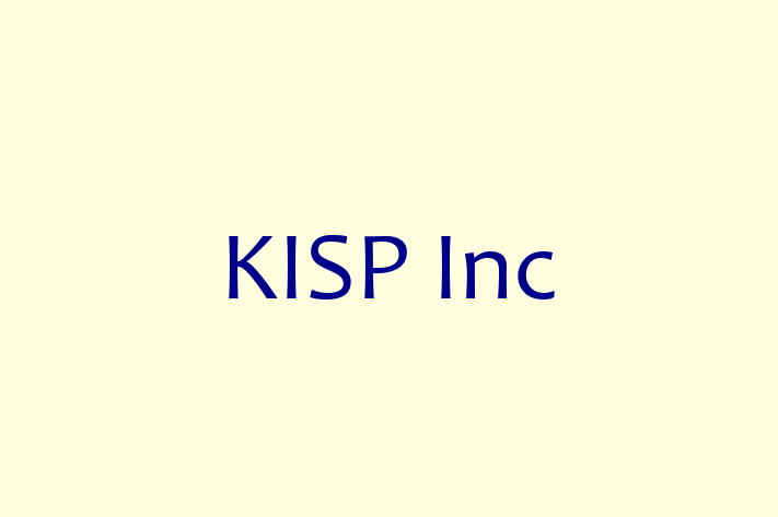 Software Services Company KISP Inc