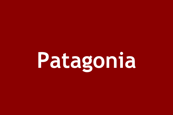 Human Resource Management Patagonia