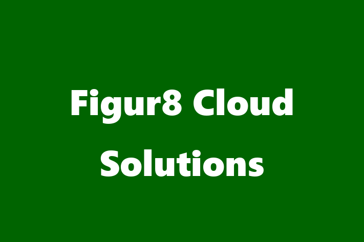 Software Firm Figur8 Cloud Solutions