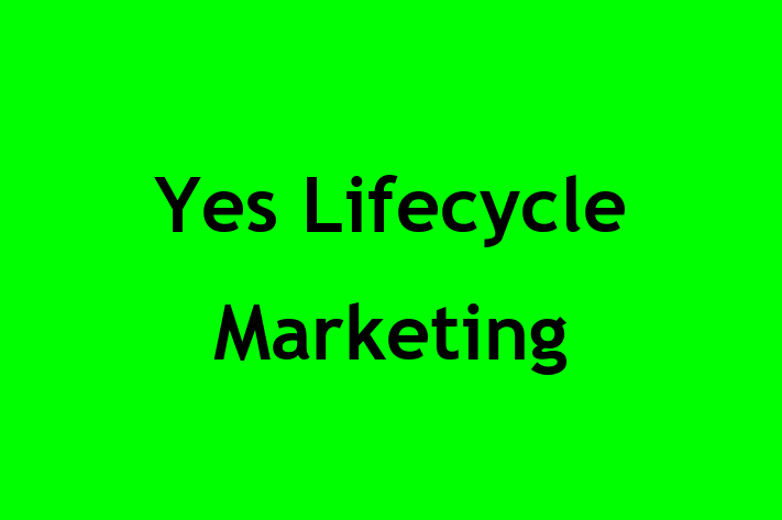 Software Solutions Provider Yes Lifecycle Marketing