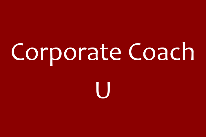 Technology Company Corporate Coach U