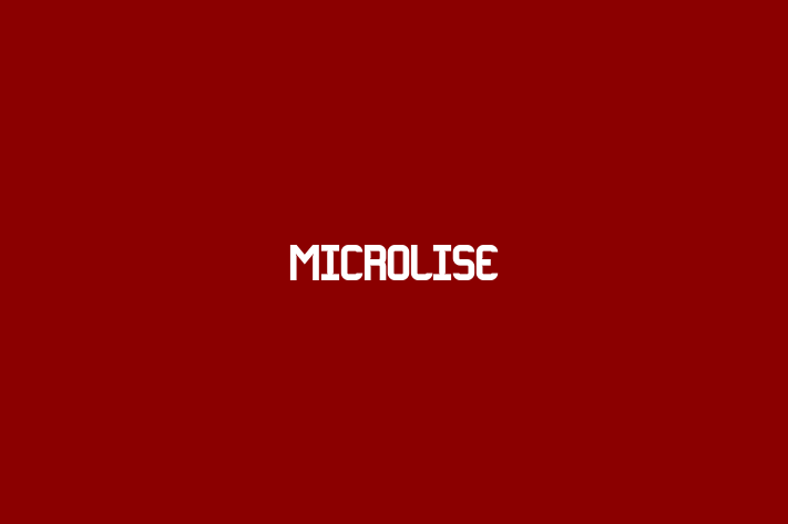 IT Company Microlise