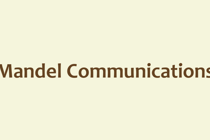 Tech Solutions Company Mandel Communications