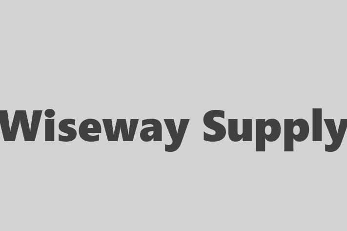 Workforce Management Wiseway Supply