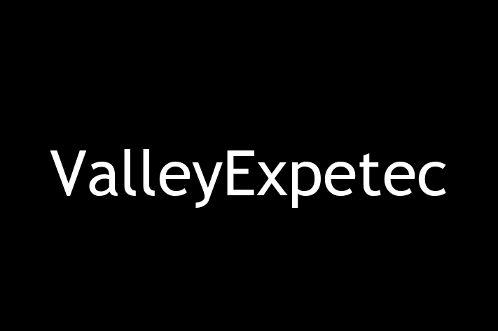 Tech Firm ValleyExpetec