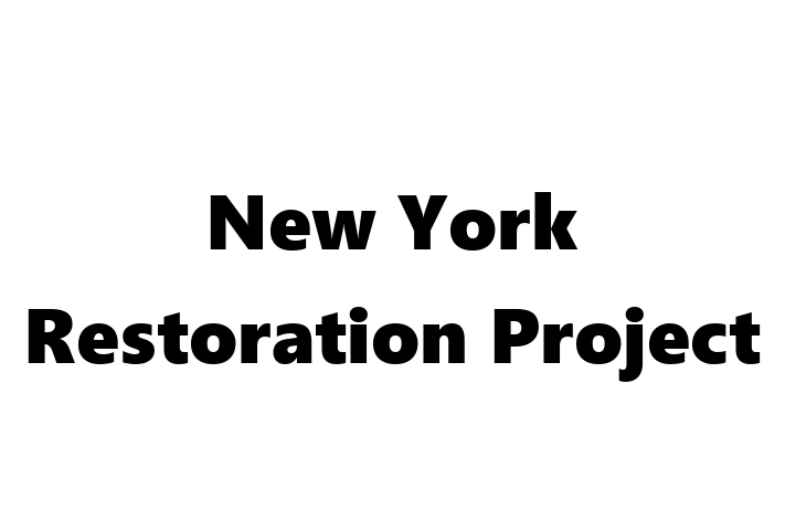 Technology Solutions Firm New York Restoration Project