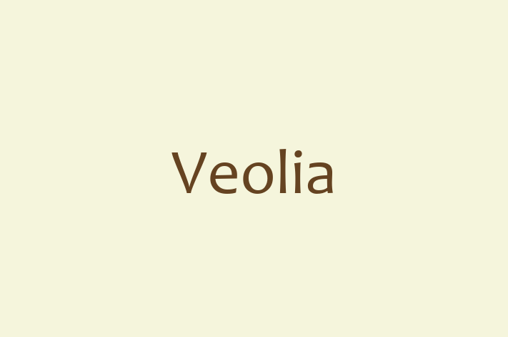 Software Consultancy Veolia