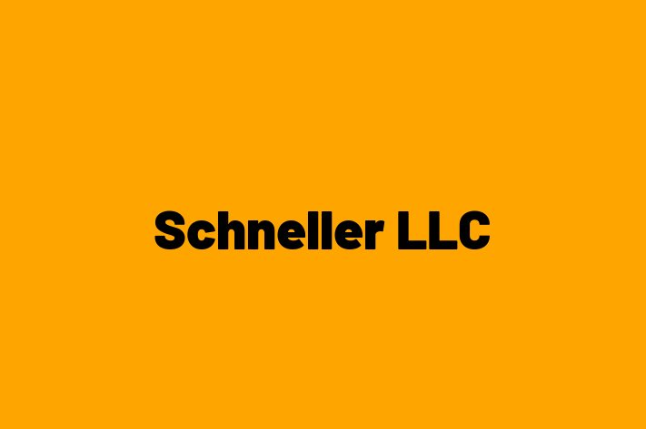 Workforce Management Schneller LLC