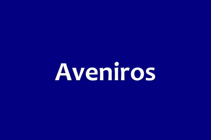 Software Firm Aveniros