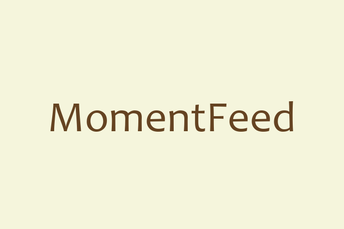 Software Development Firm MomentFeed