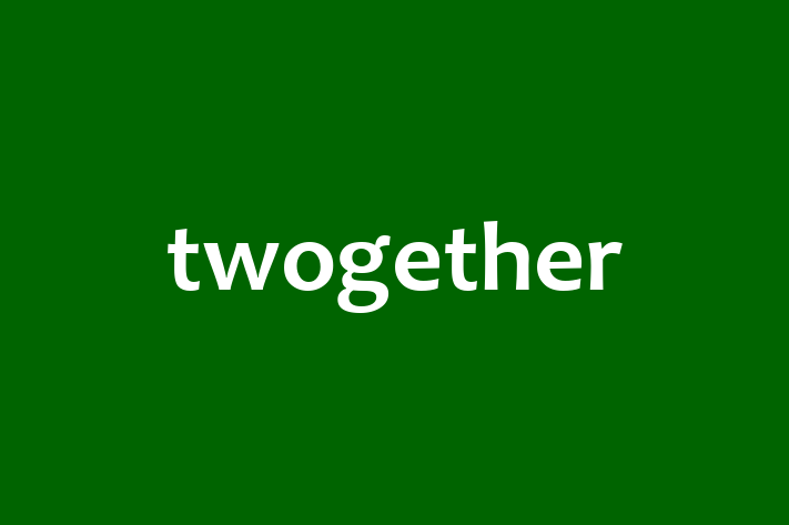 Software Services Company twogether