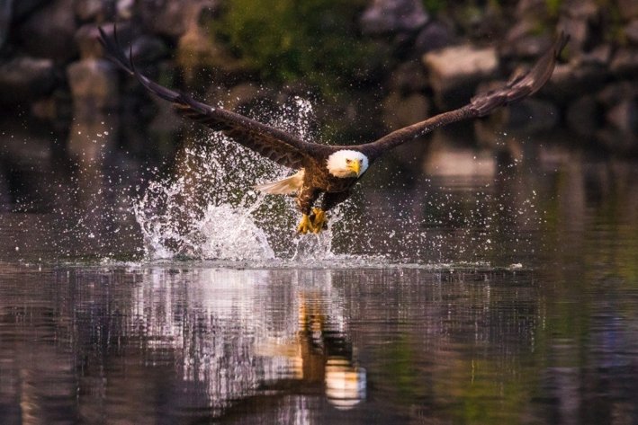 Personnel Management Tennessee Wildlife Federation