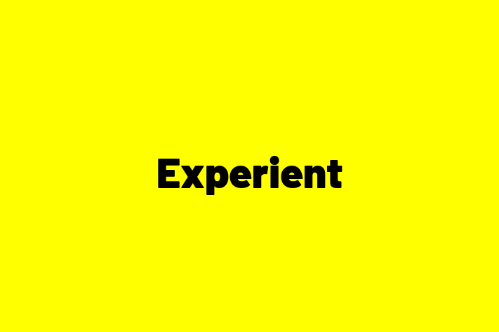 Digital Solutions Provider Experient