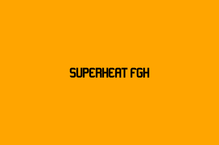 IT Company Superheat FGH