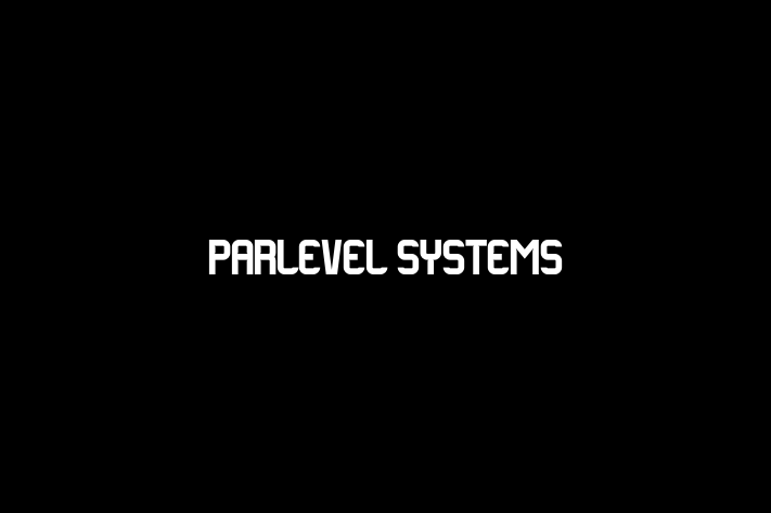 Software Consultancy ParLevel Systems