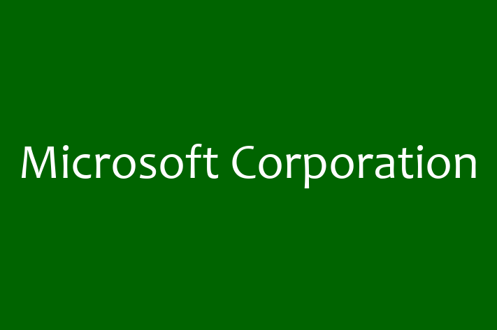 Software Development Company Microsoft Corporation