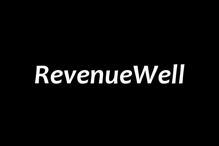 Technology Solutions Firm RevenueWell