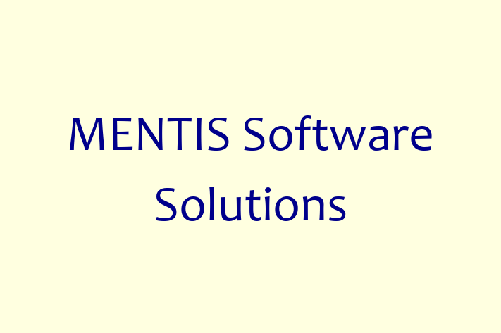 Software Engineering Company MENTIS Software Solutions