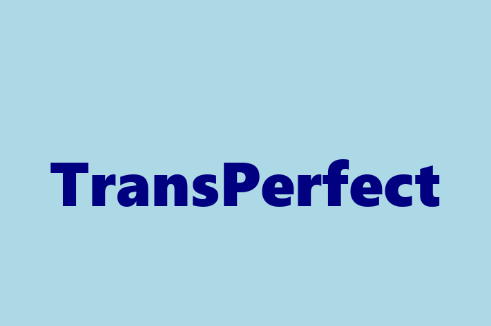 Application Development Company TransPerfect