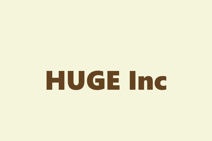 Technology Solutions Firm HUGE Inc