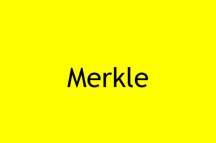 Software Engineering Company Merkle