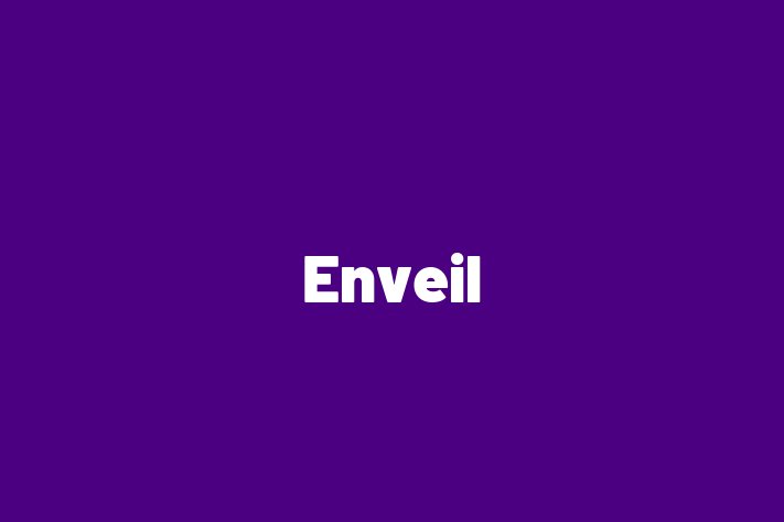 Application Development Company Enveil