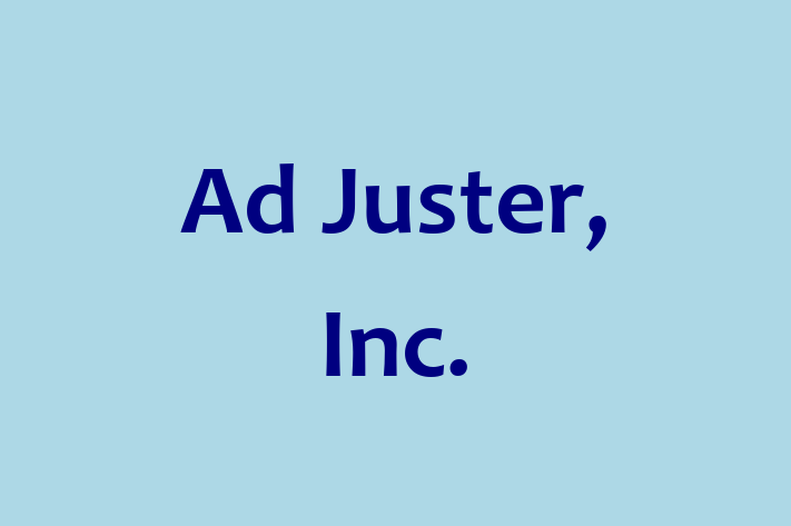 Technology Solutions Firm Ad Juster Inc.