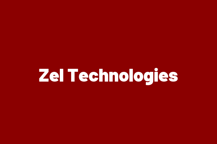 Software Consultancy Zel Technologies