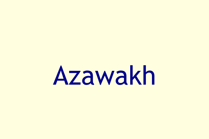 Azawakh Dog Ready for a Home in Salt Lake City