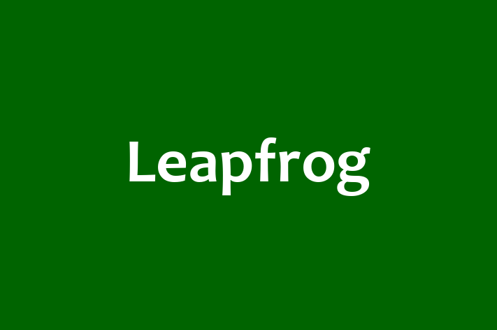 Digital Solutions Provider Leapfrog