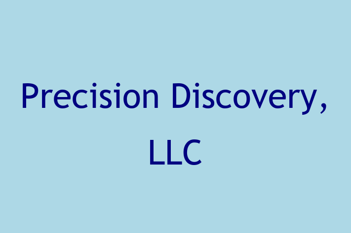 IT Company Precision Discovery LLC