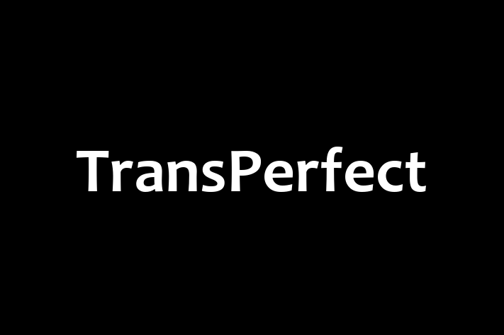 Software Engineering Company TransPerfect