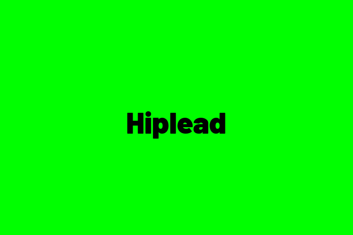 IT Company Hiplead