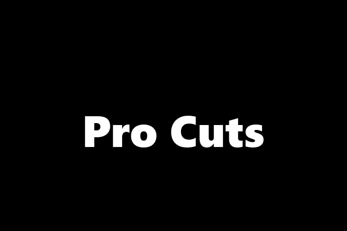 Barbers Pro Cuts