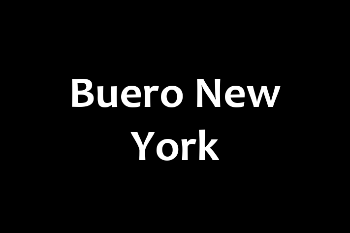 Software Engineering Company Buero New York