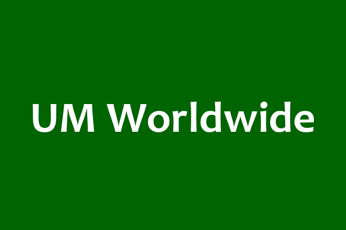 Software Services Company UM Worldwide