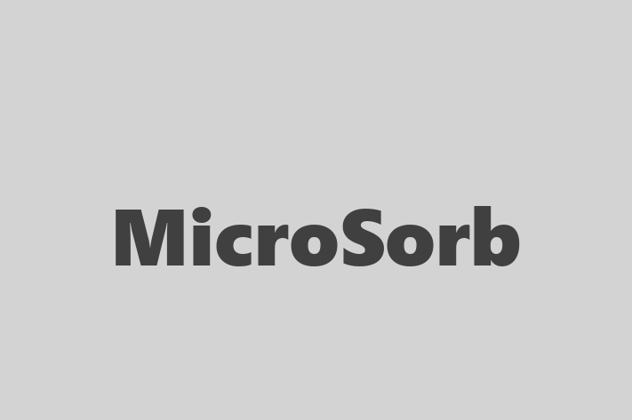 Application Development Company MicroSorb