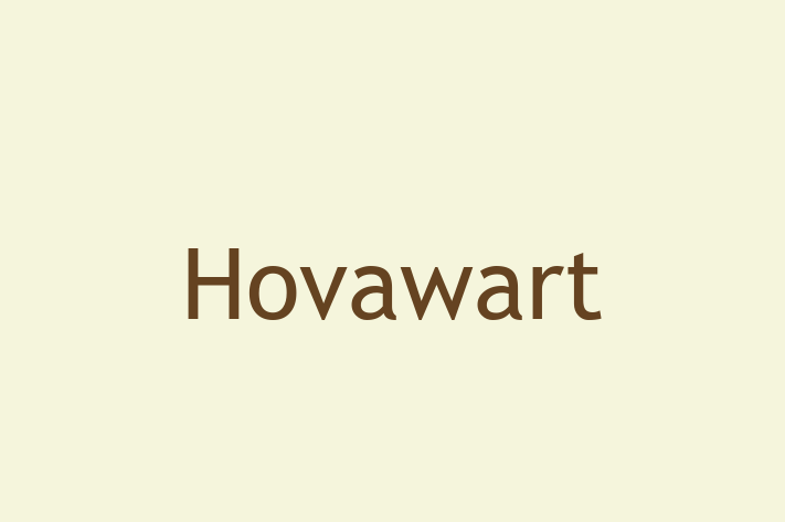 Adopt a Beautiful Hovawart Dog in Reno